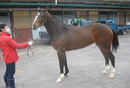 �ǰܿ��� ����