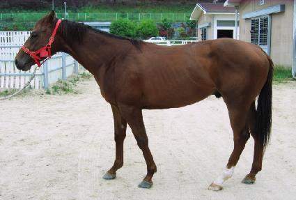 �ϴ����ູ ����