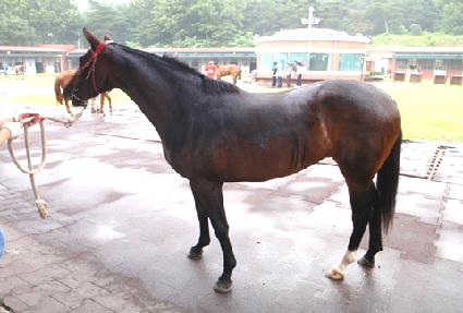 ���Ư�� ����