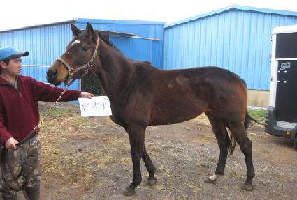 ���尡��Ͻ� ����