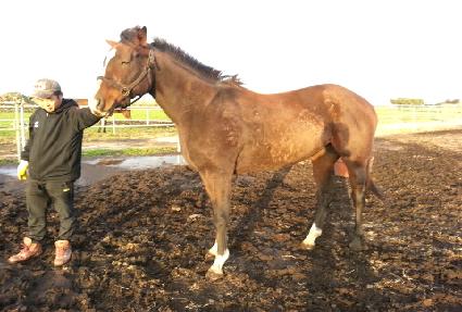 �۷θ������ ����