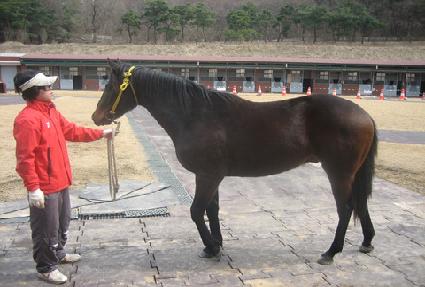 õ�ϱ��� ����