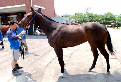 ��� ����