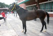 ��¿� (DAESEUNGWANG) ����