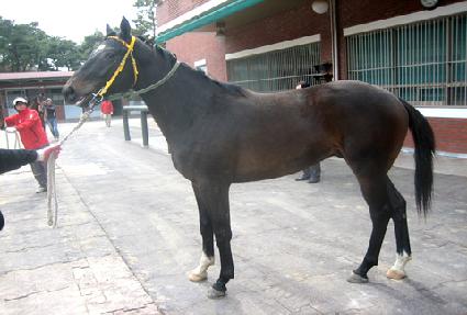 ��¿� ����