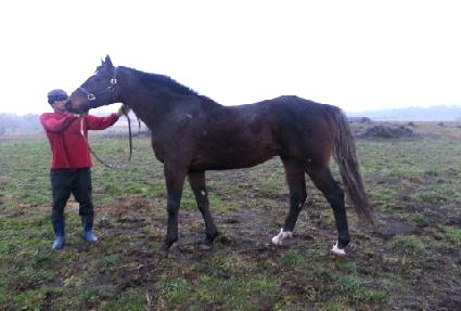 �������� ����