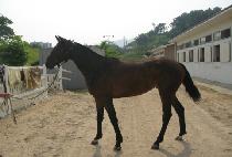 �Ӵ�Ʈ���� (MONEY TRAIN) ����