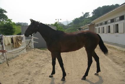 �Ӵ�Ʈ���� ����