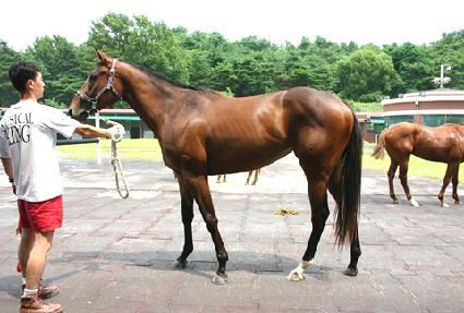 ��ƼĹ ����