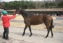 ȭ�������� (HWARYEOHANJILJU) ����