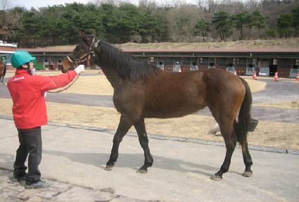 ȭ�������� ����