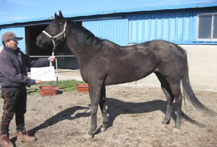 �շ�è�� ����