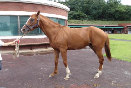 �ͻ����÷��� ����