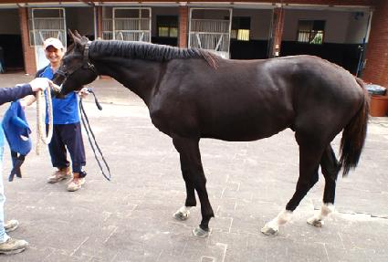 �����ӷ��� ����