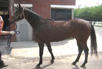 ���ູ (CHAMHAENGBOK) ����