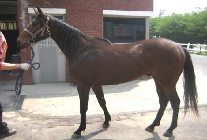 ���ູ ����