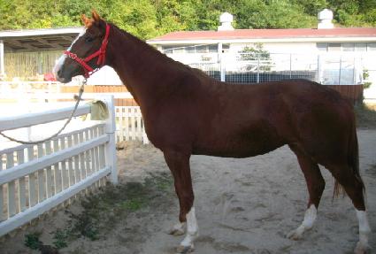 ������ ����