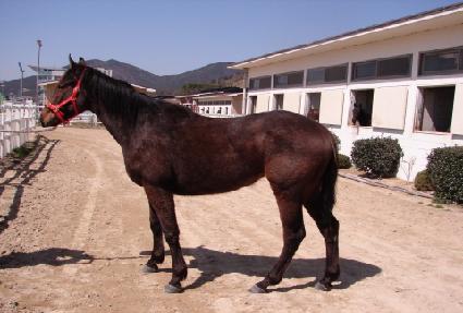 �ѳʿ� ����