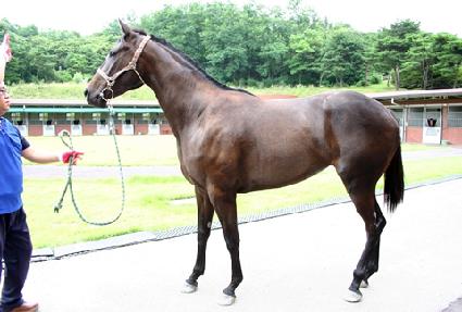 ��´밨 ����