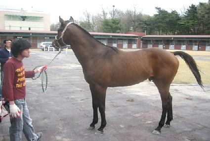 �̱۽��� ����