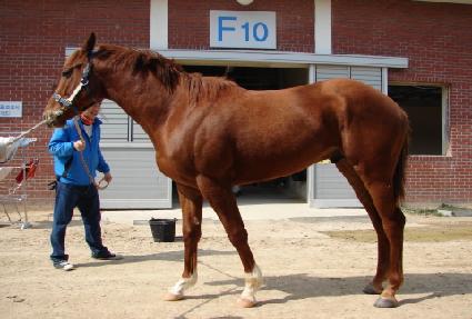 ��Ʈ������ ����