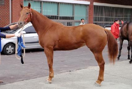 ����ŷ ����