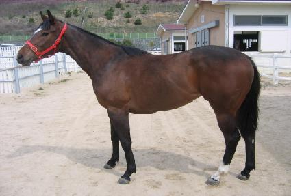 �������� ����