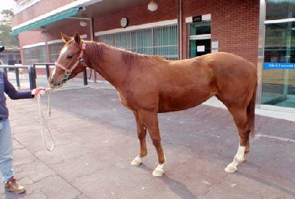 ���丮�轺 ����