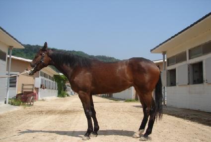 ���̴װ����� ����