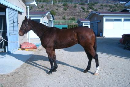 �Ƹ��ٿ���ȥ ����