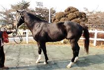 ����� (ODAESAN) ����