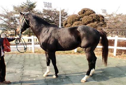 ����� ����