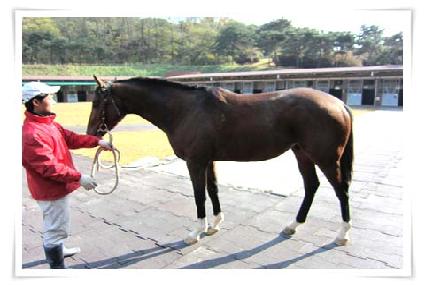 �ȼ���Ƽ ����