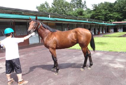 ��׽�Ʈ�� ����