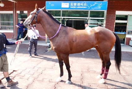 �������� ����