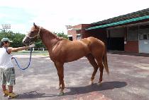 SEONGGONG SIDAE picture