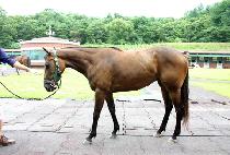 ���õ�� (HAENGUNCHEONHA) ����