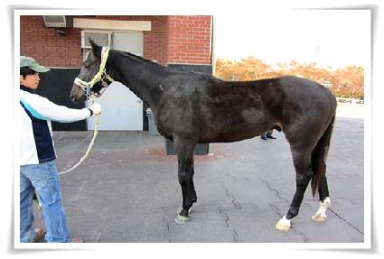 ����ƮŬ���� ����