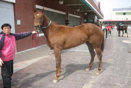 �̷�Ĺ ����