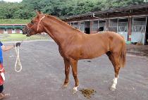 õ�غ�� (CHEONBUNGBISANG) ����