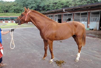 õ�غ�� ����