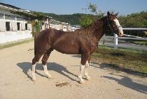 �����̴� (JEONSEORIDA) ����