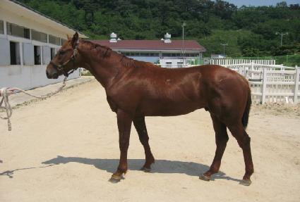 ���а��� ����