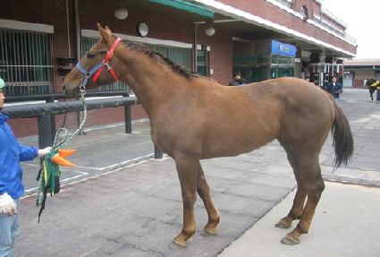 �Ѱ�Ư�� ����