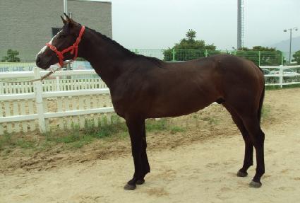 ����ŷ ����