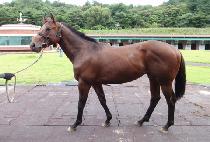 �׷����� (GRAND WIN) ����