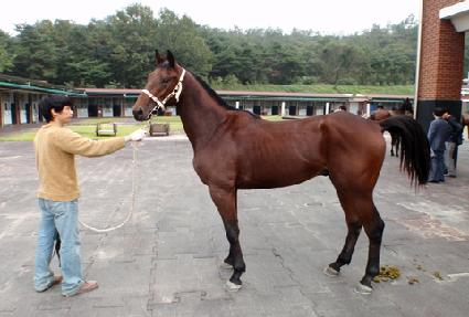 ��ũ�Ҵ� ����