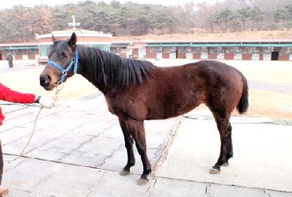 ����� ����