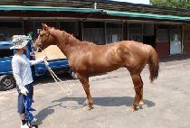 ��ս�����Ʈ (YONGWANG SPRINT) ����