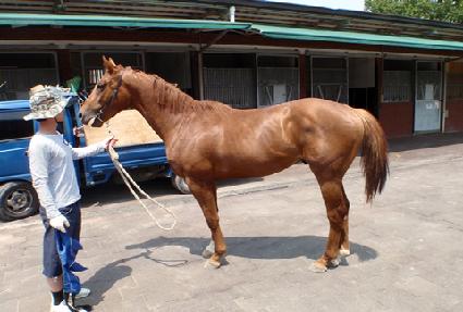 ��ս�����Ʈ ����